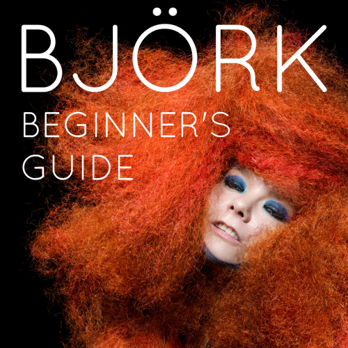 Bjrk Beginner's Guide playlist
